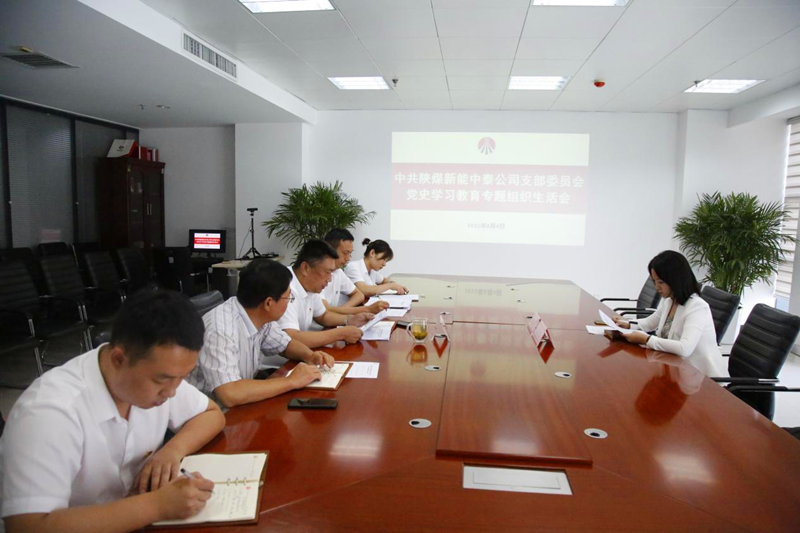 中泰公司黨支部召開黨史學(xué)習(xí)教育專題.png