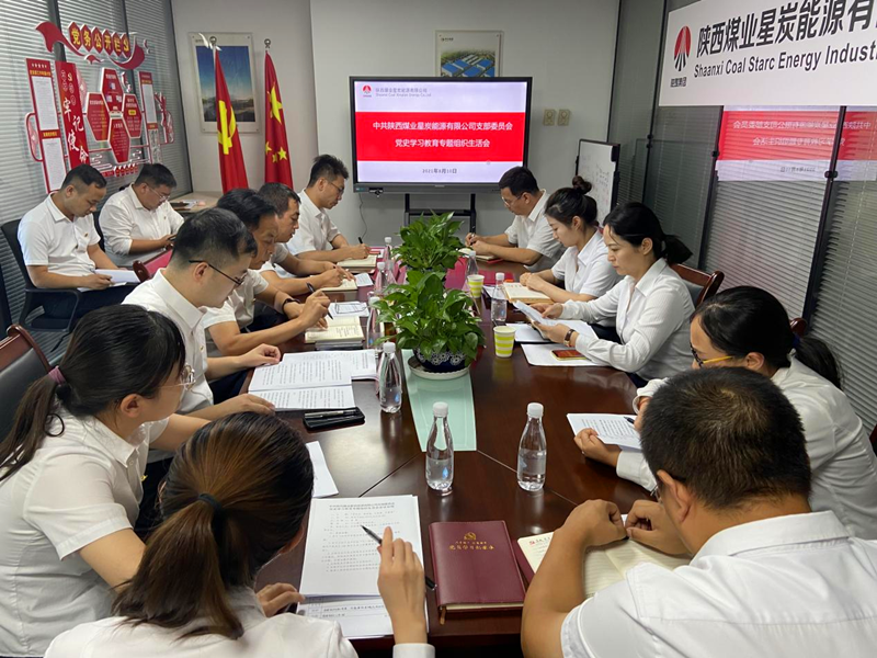 星炭公司黨支部召開黨史學(xué)習(xí)教育專題組織生活會(huì)-配圖.png