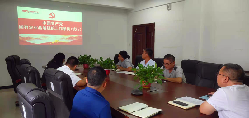 仙桃公司黨支部對《中國共產(chǎn)黨國有企業(yè)基層組織工作條例(試行)》進行再學(xué)習(xí)再落實