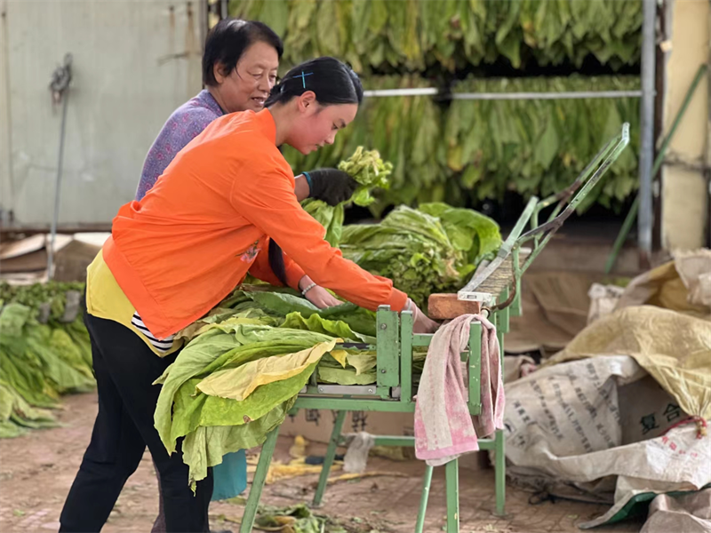 儲能助力 答好生態(tài)“烤”卷-2.png