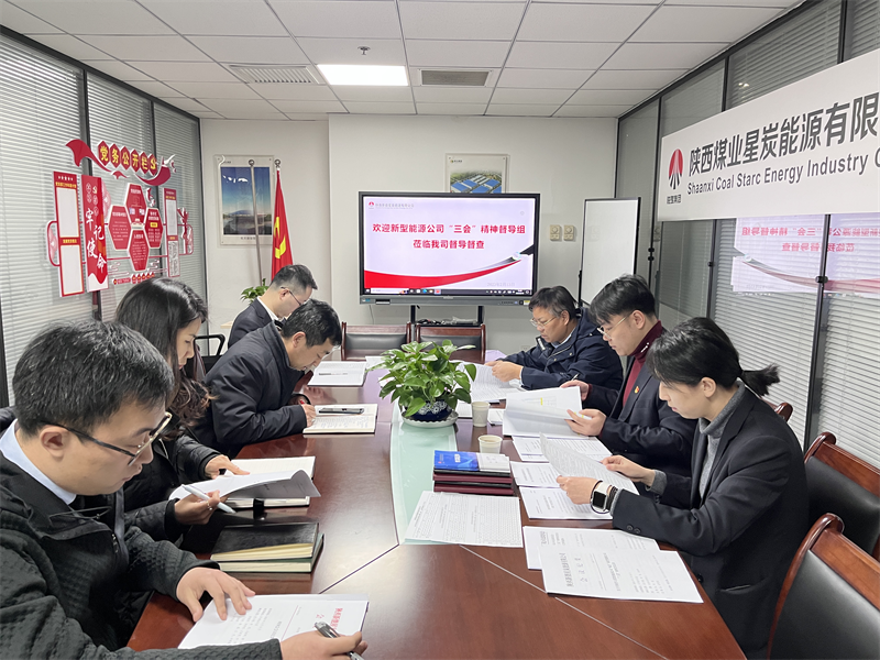 新型能源公司“三會(huì)”精神工作督導(dǎo)5.png