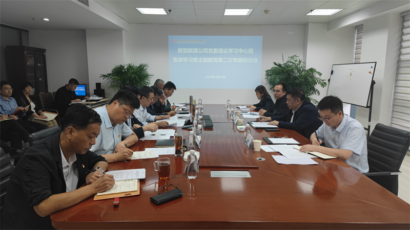 新型能源公司召開黨委理論中心組學(xué)習(xí)暨主題教育第二次專題研討會(huì)